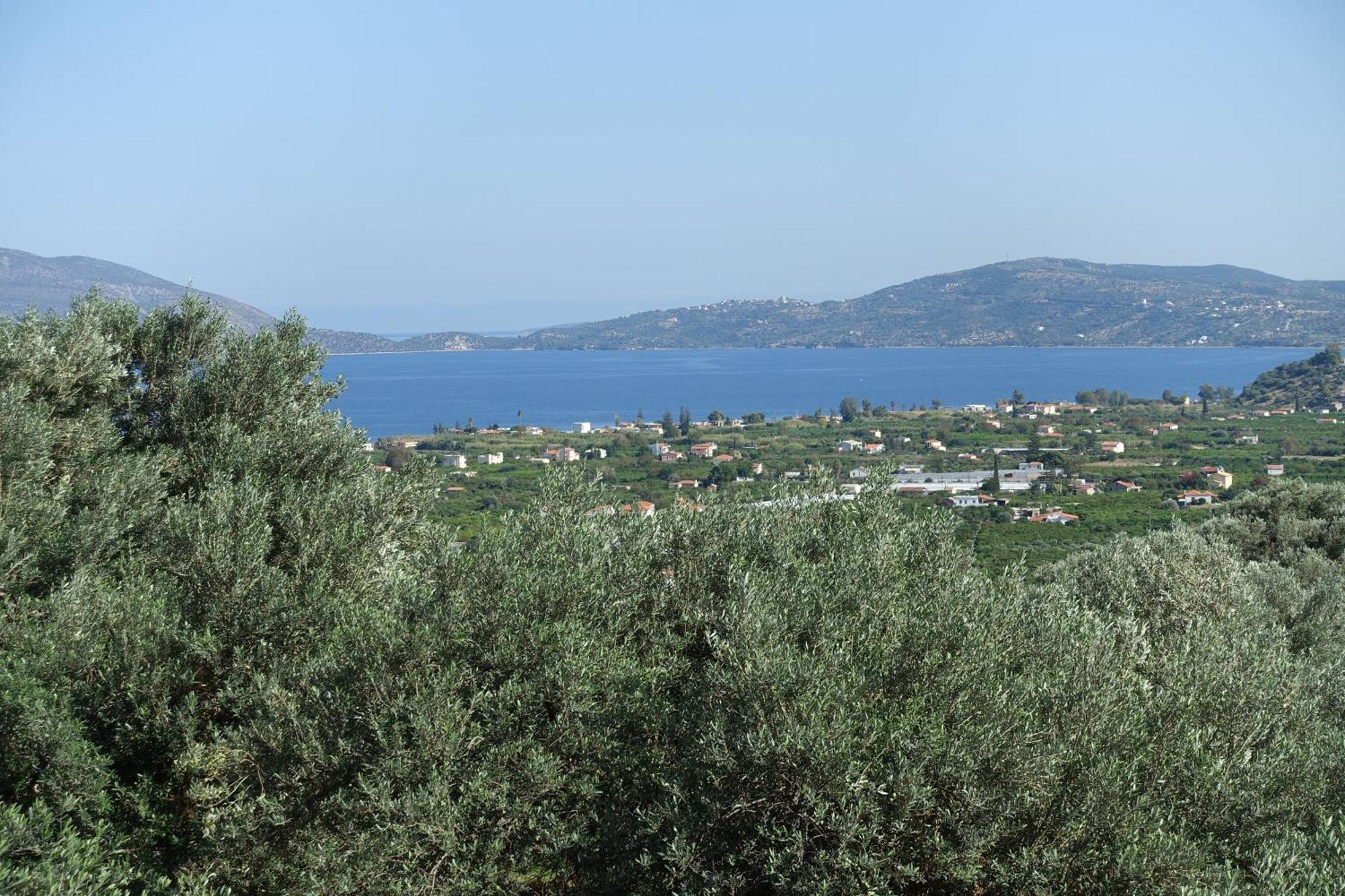 Studio In Villa In Kalloni Direkt Am Meer Exterior foto